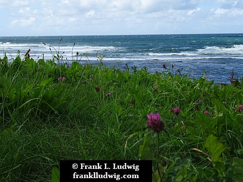 Bundoran Coast